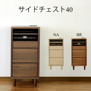 `FXg hbT[ [`FXg k  40cm Ƌ [ ߗ ߗގ[ ^X rO[ CeA AeB[N  m[ _ Vv uE i` t 