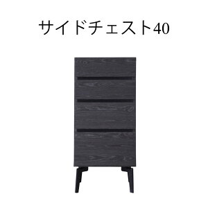 `FXg hbT[ [`FXg k  4i 40cm Ƌ [ rO[ VR CeA AeB[N  _ Vv X^CbV RpNg EH[ibg O[ 