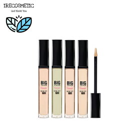 ＼エチュード／【使用期限間近】ビッグカバーフィットコンシーラー [旧タイプ] /カバー/ ベースメイク / クマ / ETUDE / Big Cover Skin Fit Concealer PRO 7g / 韓国コスメ