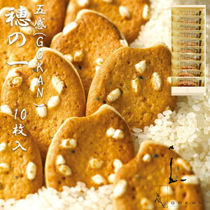 GOKANi܊j̈ 10 ĉَqZbg ĕNbL[ 䒆  Mtg  yY a ̓ ̓ hV̓ v[g o^C zCgf[  mَq