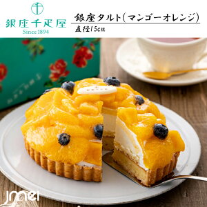 ^gi}S[IWja15cm D tăMtg lߍ킹  yY Ε 䒆 Ԃ a ̓ ̓ v[g  XC[c