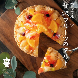 お中元 夏ギフト 2025 贅沢フルーツのタルト ホシフルーツ 春夏ギフト 詰め合わせ 種の果実 御中元 お中元 スイーツ 父の日 ギフト 山口 お土産 母の日 瀬戸内 お取り寄せ 洋菓子