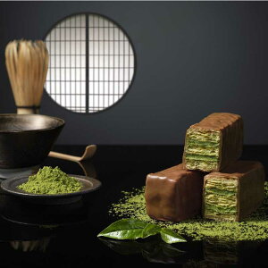  ăMtg 2025 Z~tB[ 10unvN[ [`R[g Ε Mtg 蕨 ̓ ̓  XC[c O yY  䒆 j 