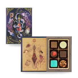 バレンタイン チョコ 2026 ナハトラビュリント ゲハイメ・メディチーン(秘薬) メリーチョコレート Nachtlabyrinth メアレスミュートス 本命 本型パッケージ チョコ SNS 話題 2026 チョコ 夫 バレンタイン 宝石箱 2026