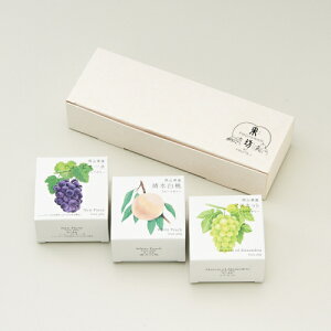  ăMtg 2025 3̉Rʎ[[ 3A\[g te[ʖV (퉷) 蕨 lߍ킹 a ̓ ̓ hV̓ v[g  ~  XC[c