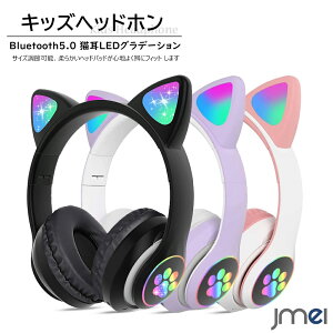 qpCtH  ܂ݎ RpNg y s LbYwbhz LfUC ^ ͕ی LL d s@ oX ړ JIP}CN mwK y f 