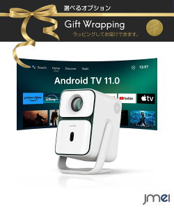 �V�䓊�e �X�N���[�� android���� �A�v�� switch2 4k ���� �v���W�F�N�^�[ �V�� �ƒ�p ansi���[���� ��l��炵 ���� HDMI ���� �ł� ����� ���� �ԉ� �v���W�F�N�^�[ ���^ �X�}�z Netflix youtube���� 