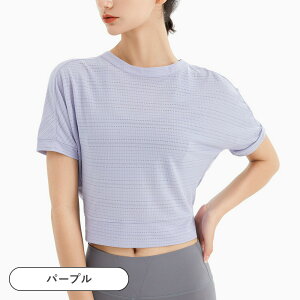 yԌ66OFF!66002200~zKEFA gbvX   zbgK seBX EFA R GAt[ TVc  킢 ꂢ wJ w  Ȃ X|