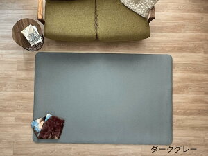 YogaIrie AC[ K}bg 唻  200cm×130cm×8mm lp CeAƂĂȃJ[ L TCY L  [ 傫TCY  K 傫 tpe vC}bg g