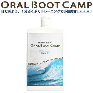 y|Cg10{I X[p[Z[ԁzvCbNANA I[u[gLv I[VN[ioϕij42 oCItB f^GXe o GXe ̃GXe 