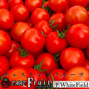 zCgtB[h `FXg}gt[c/2kg teBJ