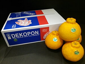  N Ε t[c F{Y fR| 8ʓ 2.5kg