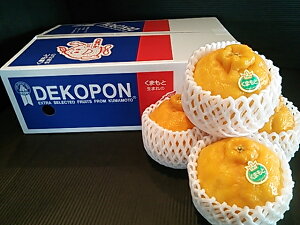   N Ε t[c F{Y fR| 9ʓ 2.5kg