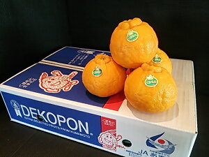 N Ε t[c F{Y fR| 15ʓ 5kg