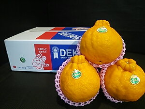   N Ε t[c F{Y fR| 6ʓ 2.5kg