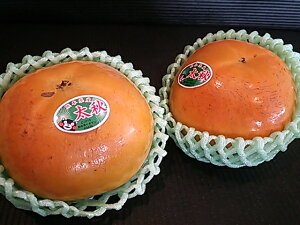  F{Y@p@H`@3kgi7ʁ`12ʁj