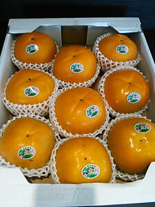  F{Y H` 3kgȏi8ʁ`12ʁj