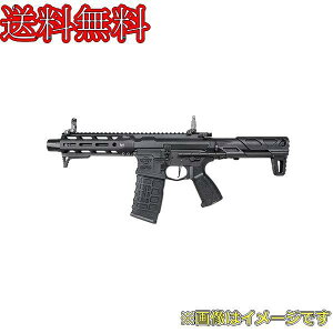 G&G ARP556 2.0yEGC-556-V02-BNB-NCSz