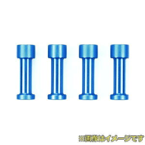 ^~ OP.1960 TC-01 _p[pA~GNXeVi[ (4{)