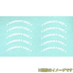 Vo^ R31W420 ^CXebJ[(SHIBATIRE)1