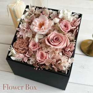 vU[uht[ {bNX Mtg t[{bNX v[g t[ jd hCt[ a ̓ j hV e j Vzj LO  킢 