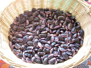 Qn@Yi@ԓ()@萔@ϓ@@@ō@ڗYAԓ@̎ɂȂiłBN؂ƁB