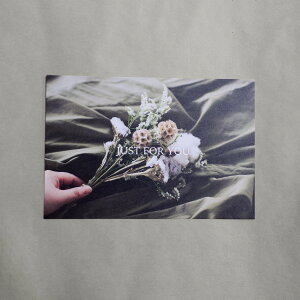 ���܂����M�t�g���b�s���O | �a���� �N���X�}�X ��̓� | �I�ׂ郁�b�Z�[�W�J�[�h�t�� ���P�̍w���s��