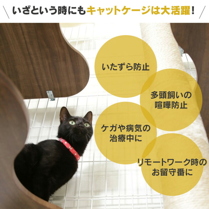 楽天市場】【公式】猫 ケージ 3段 ステップ キャットランドケージ 