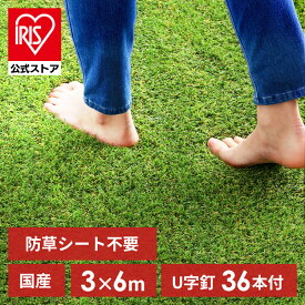 【国産】人工芝 3m×6m アイリスオーヤマ 3m ロール ベランダ リアル防草 送料無料 U字釘36本付 生 防草芝生 ×6m アイリスソーコー 【TD】 【代引不可】【CP】【iris_dl】【iris_dl06】