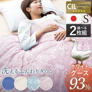 |zc VO  􂦂 2Zbg ėp|zc Hѕzc zCgO[X R hL WGD93%0.2kg syiris_dl04z