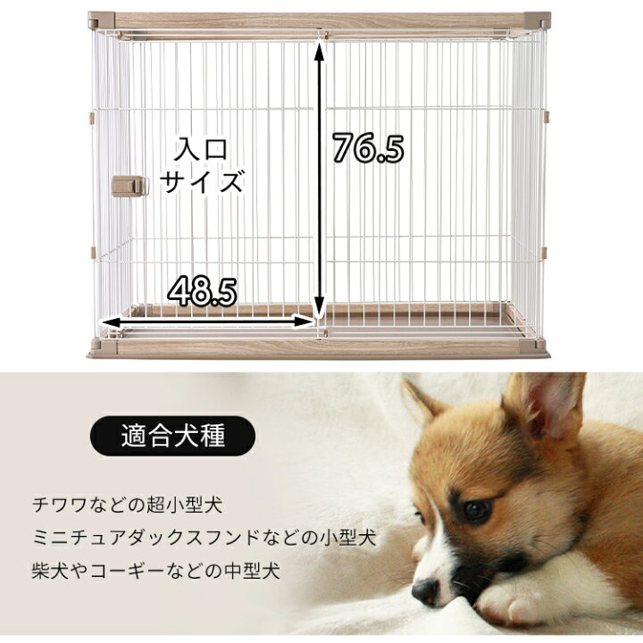 楽天市場】【公式】犬 ケージ アイリスオーヤマ ペット 小型犬 中型犬 