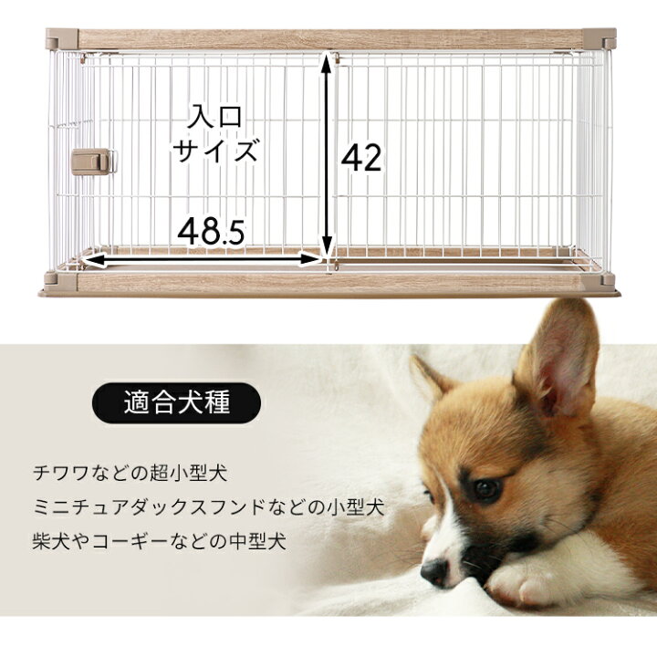 楽天市場】【公式】犬 ケージ アイリスオーヤマ ペット 小型犬 中型犬 