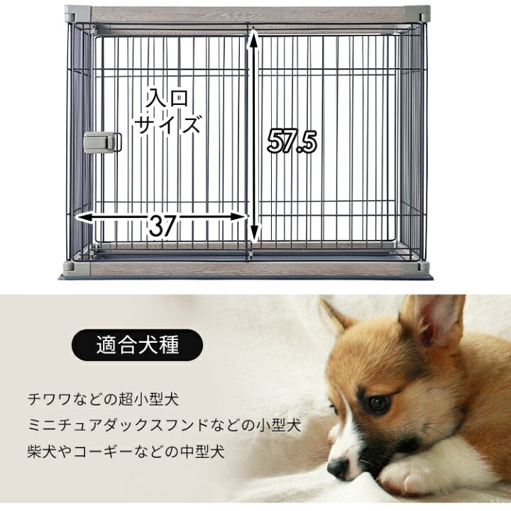 楽天市場】【公式】犬 ケージ アイリスオーヤマ ペット 小型犬 中型犬 