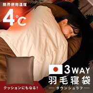 寝袋 クッションになる ダウン 羽毛 シュラフ 冬 ねぶくろ 来客用 封筒型 クッションにもなる3WAY ブラウ…