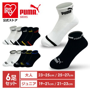 C Y LbY j̎q V[g uh v[} ^ X|[cuh \bNX PUMA6Zbg 2823719  PUMA C Xj[J[ NbVpC j Y NbV 