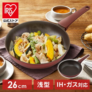 yztCp 26cm KX IHΉ y ACXI[} ̌^ [^ _ChR[g ^bN 􂢂₷݌v ɂ DCF-I26