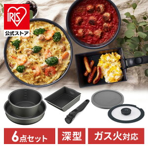 tCpZbg 6_Zbg tCp KX   E [^ ACXI[} _ChR[gpfB[vX DCG-S6S ̓ v[g