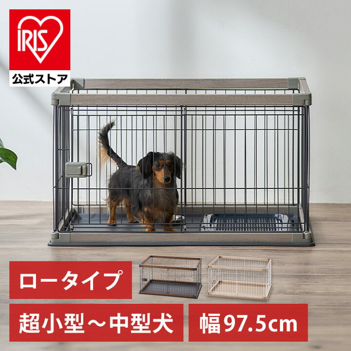 楽天市場】＼12月5日限定！1等最大100％ポイントバック 