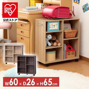 [{bNX LX^[t {I [I [J[g [ [J[g SYR-6026 ACXI[}  ȏ G{ bN I [ q q t [S h