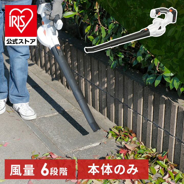 楽天市場】【公式】ブロワー 充電式 小型 コードレス ブロワー  