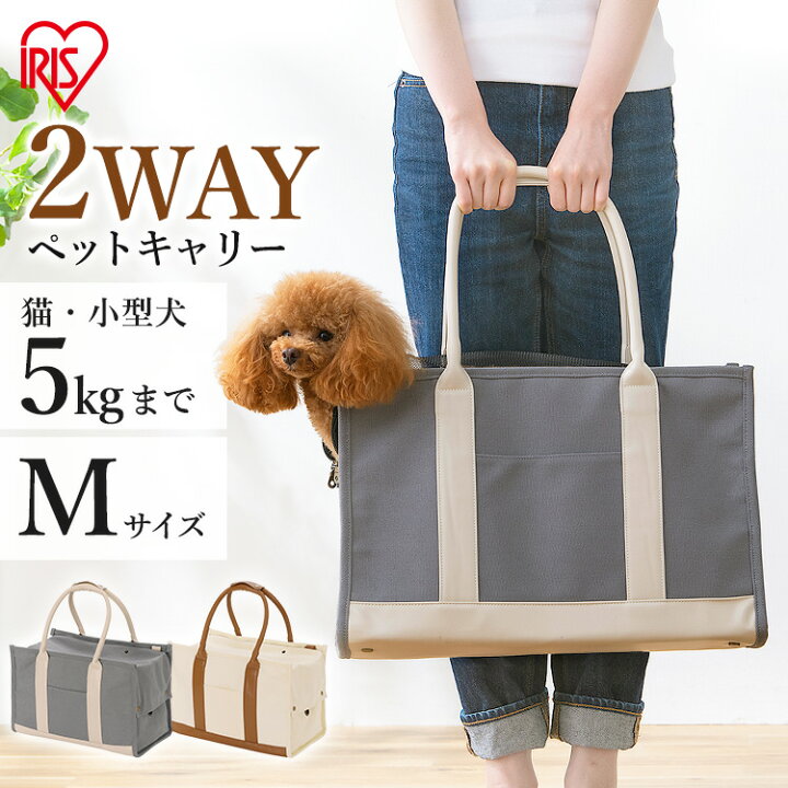 楽天市場】[ｴﾝﾄﾘｰでﾎﾟｲﾝﾄ最大10倍/ｽﾀﾝﾌﾟﾗﾘｰ]【今なら!ジャーキーおまけ 