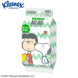 �E�F�b�g�e�B�b�V�� ���� �g�їp �X�R�b�e�B �m���A���R�[���^�C�v �X�k�[�s�[ 30�� 76606