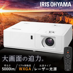 5,000~OFFN[|/Ɠd܂聚 vWFN^[ ACXI[}  IP-EW500W  [U[ Ɩp rWlX ItBX  c JtF HX f[SۏؑΏ]