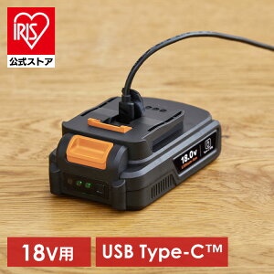 dH 18V }`MAp obe[ 2000mAh `ECI USB type-C [d CpNghCo[ dhCo[ H DIY  ㋉ ǉ IvV ʔ ACXI[} DBL1820C * 