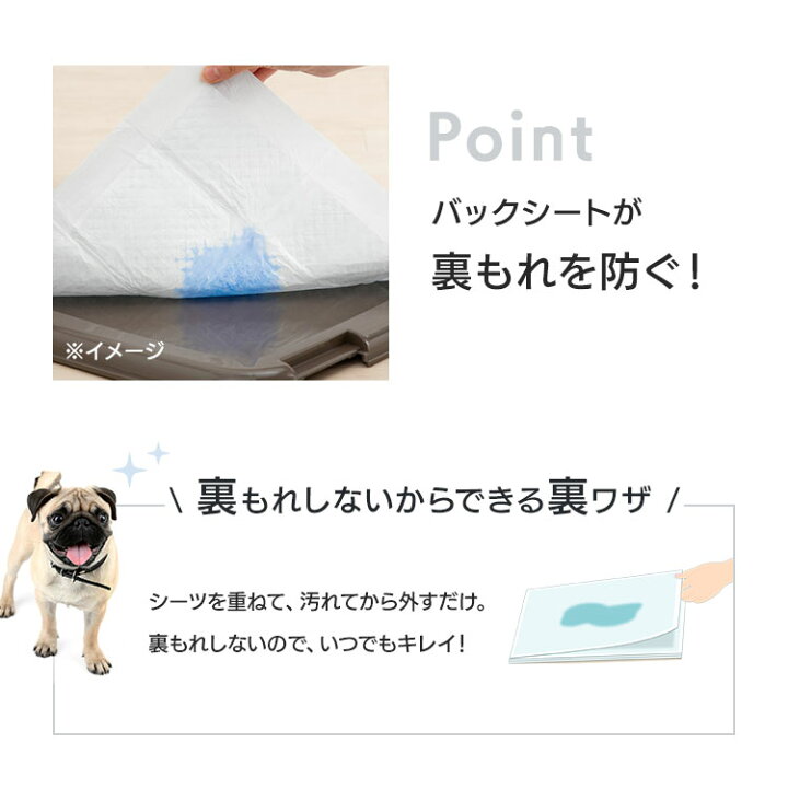 楽天市場】【公式】ペットシーツ ワイド 600枚 レギュラー 1200枚 薄型 
