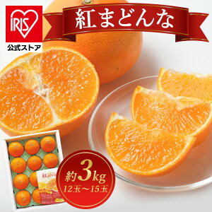 QY g܂ǂ BENI-F0Mtg t[c ݂ g܂ǂ Q yTDz yszv