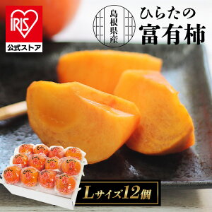 Ђ炽̕xL`()12 FYK-C6SMtg t[c xT`  yTDz yszv