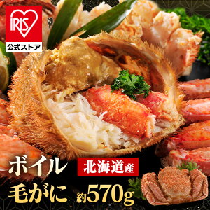 �k�C���Y�{�C���уK�j 570g �J�j �уK�j �{�C�� �k�C�� �Ⓚ �M�t�g �yTD�z �y����s�z