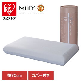 エコヘルスピロー ブルー 枕 ピロー 快眠枕 安眠枕 寝返り 低反発 洗えるカバー ギフト 横向き寝 仰向け寝 【B】