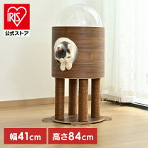 楽天市場】キャットタワー ロケットの通販